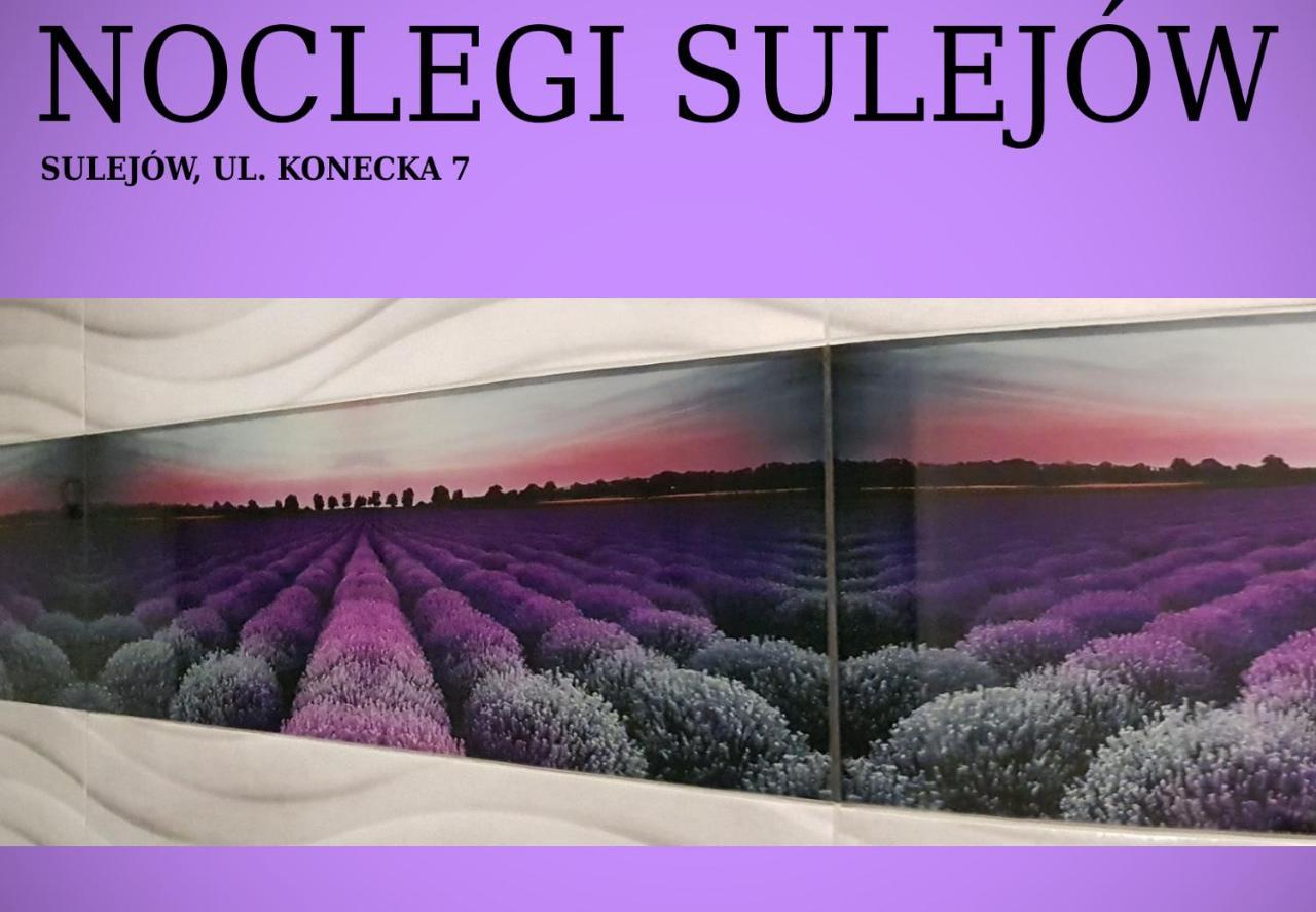Noclegi スレユフ エクステリア 写真